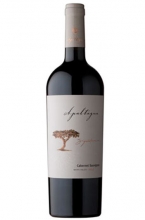 | Signature Cabernet Savignon 2012